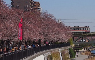 Asakusamokei TOKYO JAPAN